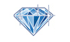 dsi logo